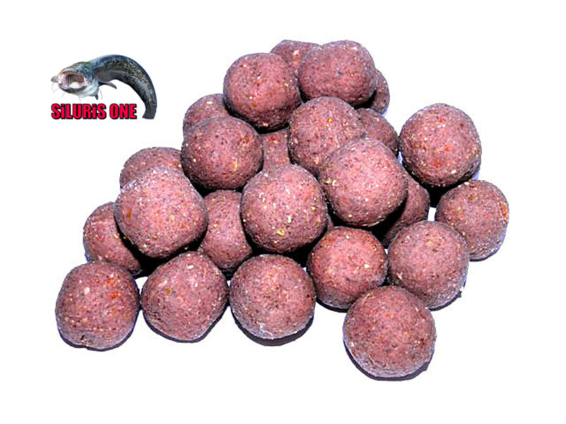 The ONE Baits, les meilleurs appâts pour réussir à la pêche de la carpe et le silure The ONE